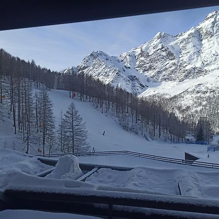 Orange Fox Cervinia Apartment Vda Vacanze In Vetta Cir 0185 布勒伊-切尔维尼亚 外观 照片